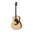 Yamaha FS830 Concert Small Body Acoustic Guitar With Rosewood Back + Sides Image 3