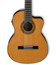 Ibanez GA6CE ClassicalAcousticElectric Acoustic Classical Nylon String GA Series W/Cutaway Image 2