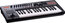 Roland A-300 Pro Keyboard Controller 32-Key USB MIDI Keyboard Controller For Mac Or PC Image 1