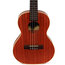 Kala KA-T Satin Mahogany Series Tenor Ukulele Image 1