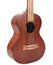 Kala MK-T Makala Series Tenor Ukulele With Agathis Body Image 1