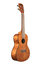 Kala KA-CEM Exotic Manhogany Series Concert Ukulele With Binding Image 2