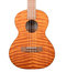 Kala KA-TEM Exotic Mahogany Series Tenor Ukulele Image 1