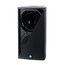 Renkus-Heinz CX121 12" 2-Way, Full Range Loudspeaker 600W, Passive Image 1