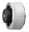 Sony SEL20TC FE 2x Teleconverter Lens Image 1