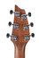 Breedlove Disovery Concert Acoustic Guitar With Sitka Top And Mahogany Back/Sides Image 2