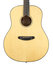Breedlove Discovery Dreadnought Acoustic Guitar With Sitka Top And Mahogany Back/Sides Image 1