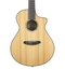 Breedlove PURSUIT-NYLON-2 Pursuit Concert Nylon CE Acoustic Guitar With Cedar Top And Mahogany Back/Sides Image 3