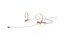 DPA 4288-DC-F-F10-LH 4288 Cardioid Flex Headset Mic With 120mm Boom And TA4F Connector, Beige Image 1