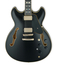 Ibanez JSM20 John Scofield Signature 6 String Electric Guitar With Hardshell Case Image 2