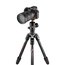 Manfrotto MKBFRTC4GTA-BUS Befree GT Carbon Fiber Tripod For Sony Alpha Cameras Image 1