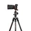 Manfrotto MKBFRTC4GTA-BUS Befree GT Carbon Fiber Tripod For Sony Alpha Cameras Image 3
