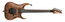 Ibanez RGA60AL RGA Axion 6-String Solidbody Electric Guitar With Ash Body And Macassar Ebony Fingerboard Image 1