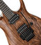 Ibanez RGA60AL RGA Axion 6-String Solidbody Electric Guitar With Ash Body And Macassar Ebony Fingerboard Image 3