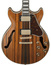 Ibanez AM93ME Hollow Body Electric Guitar With Macassar Ebony Body And Ebony Fingerboard Image 2