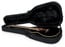 Gator GL-APX Lightweight APX Style Acoustic Guitar Case Image 1