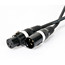 Accu-Cable AC3PDMX50 50' 3-Pin DMX Cable Image 2