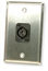 Whirlwind WP1/1FW Single Gang Wallplate With XLRF Punch, Silver Image 1