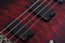Schecter HR-EXTREME-BASS4 Hellraiser Extreme-4 Bass 4-String Bass Guitar Image 2