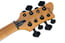 Schecter RIOT-SESSION-8 Riot-8 Session 8-String Bass Guitar Image 3