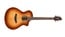 Breedlove Disovery Concert Acoustic Guitar With Sitka Top And Mahogany Back/Sides Image 1