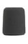 Shure A1WS Foam Windscreen For Beta 56, Beta 57, Or Any 515 Series Mic, Gray Image 1