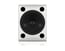 Tannoy VXP12-WH 12" 2-Way Dual-Concentric Powered Speaker, White Image 3