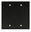 Whirlwind WPX2B/0H .125" Dual Gang Blank Wallplate, Black Anodized Aluminum Image 1