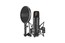 Rode NT1 Kit NT1 Microphone With SM6 Shock Mount Image 1