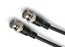 Pro Co WDC-20 20' Excellines Wordclock Cable Image 1