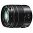 Panasonic LUMIX G Vario 14-140mm f/3.5-5.6 II ASPH. POWER O.I.S. Zoom Camera Lens Image 4