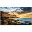 Samsung QE55T 55" Class 4K UHD Commercial LED Display Image 2