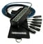 Whirlwind MS06 M-NR-050 BLACK 50' 6-Channel Mini Snake With No Returns, Black Cable Image 1