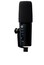 PreSonus REVELATOR-DYNAMIC Dynamic USB Microphone With FX, Onboard Mix Mode Image 1