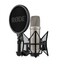 Rode NT1 5th Generation Hybrid Studio Condenser Microphone Image 2