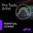 Avid Pro Tools Artist Perpetual DAW Software, Perpetual License [Virtual] Image 1