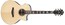 Ibanez AE390 AE390 Acoustic-electric Guitar, Natural High Gloss Image 1
