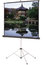 Da-Lite 93870 70" X 70" Picture King Matte White Tripod Screen, Black Carpet Image 1