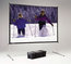 Da-Lite 88693HD 78" X 139" Fast-Fold Deluxe Dual Vision Screen, Heavy-Duty Legs Image 1