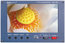 Datavideo TLM-700 7" Widescreen LCD Monitor Image 1