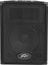 Peavey PVi 10 10" 2-Way Speakers, 50W, Pair Image 1