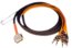 Avid DigiSnake DB25-TRS Analog Snake Cable - 12'''' 8-Channel DB25 Male To TRS, 12' Length Image 1