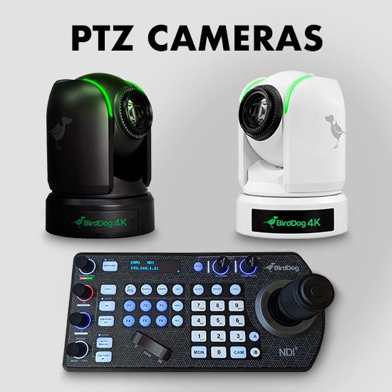 BirdDog - PTZ Cameras